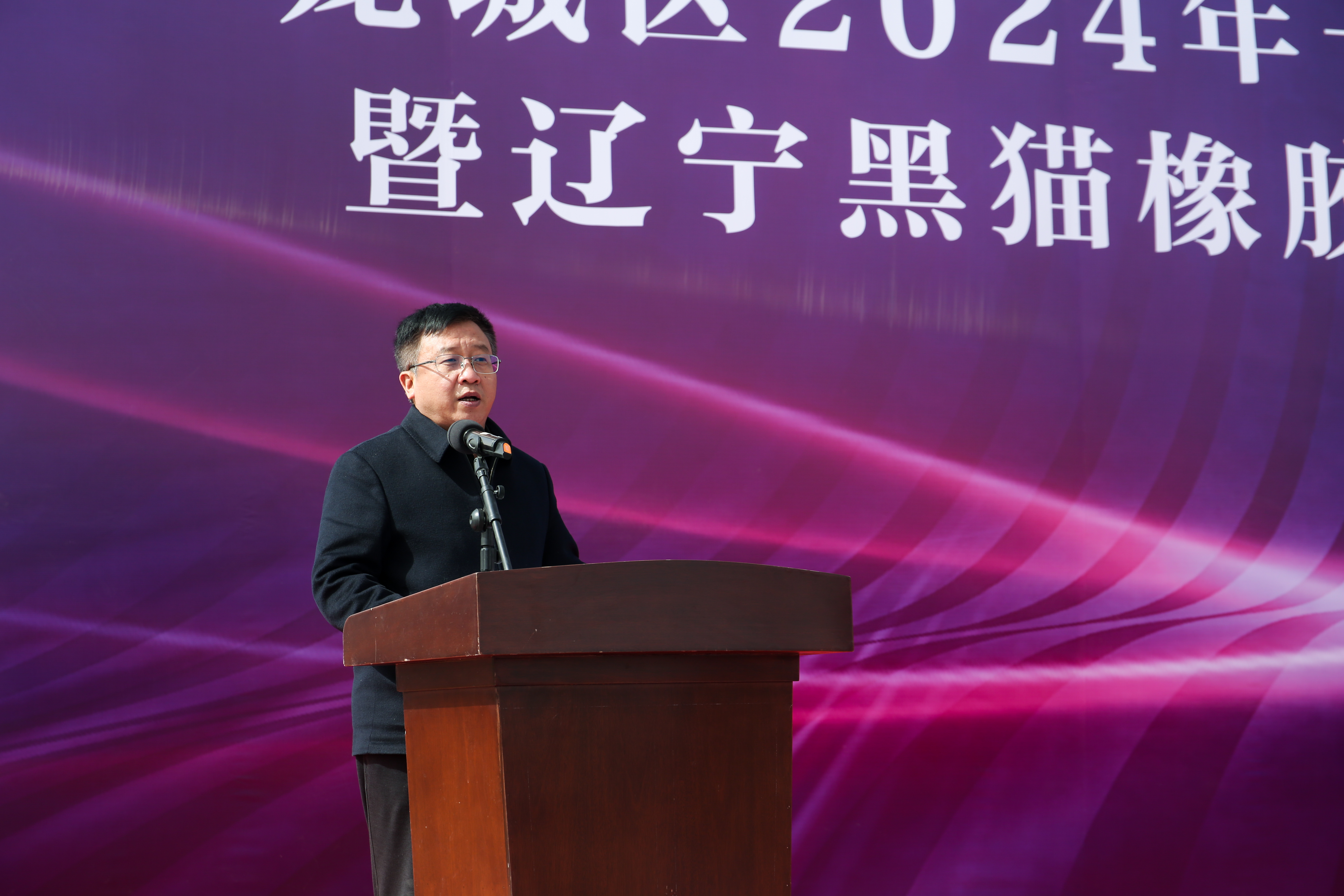 3 景德鎮(zhèn)黑貓集團黨委書記、董事長 汪羽致辭.png